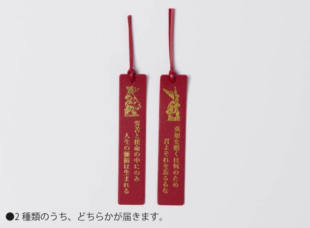 創大ブックマーク　ワイン